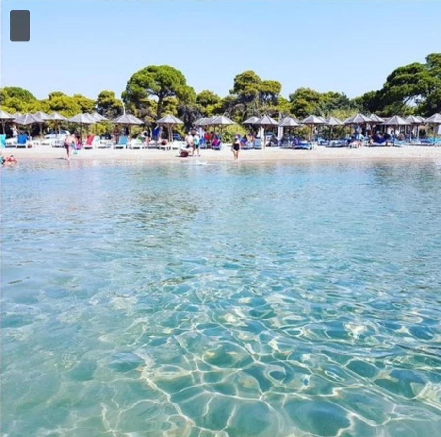 Athens Villa Artemis Pool Sea Airport Exterior foto